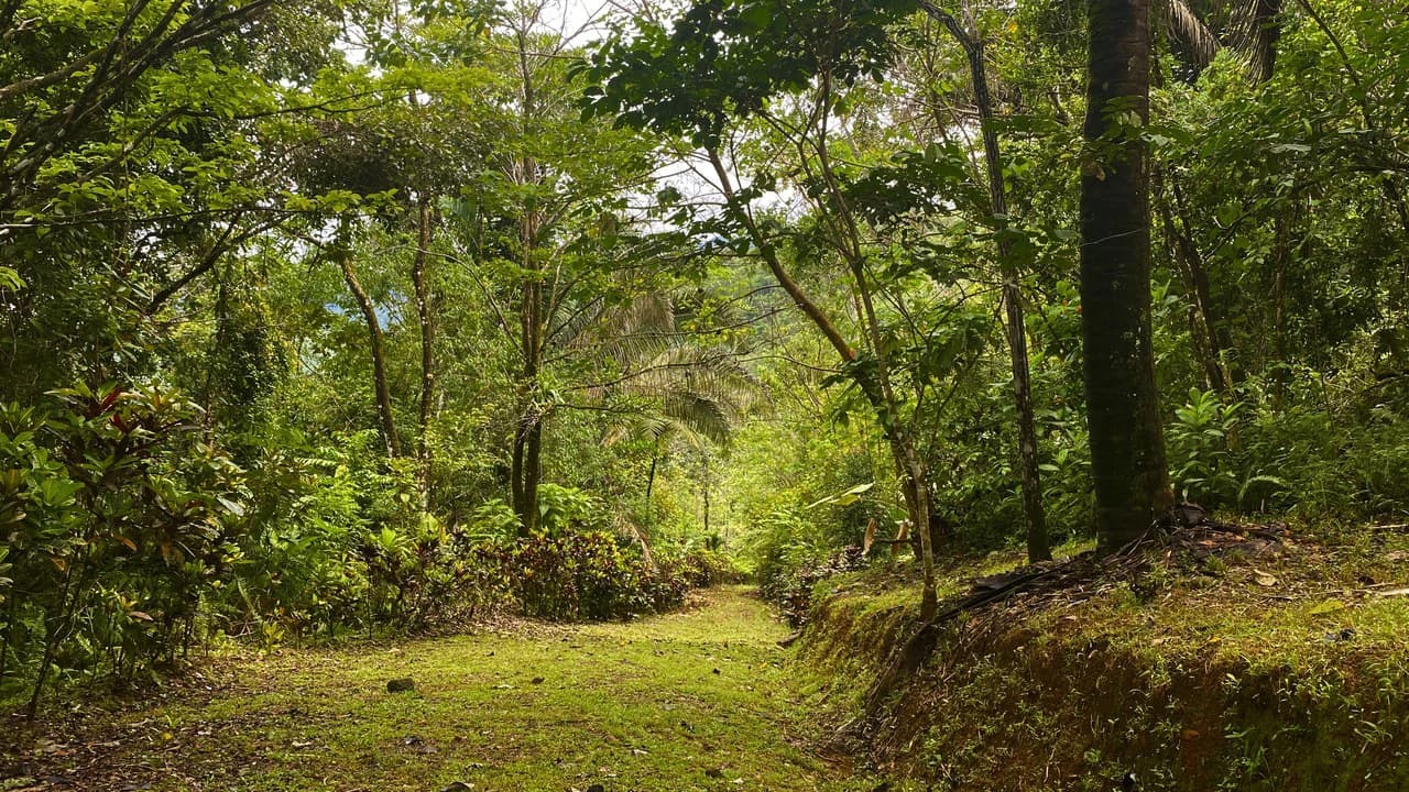 Mountain Home Construction Site For Sale in Tres Rios - photo 5