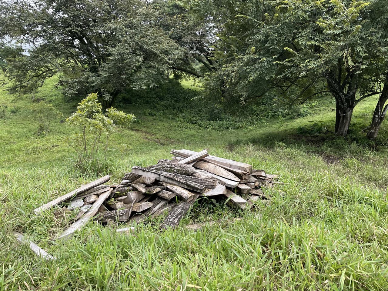 10 acre Dream Mountain Farmland near Monteverde - photo 9