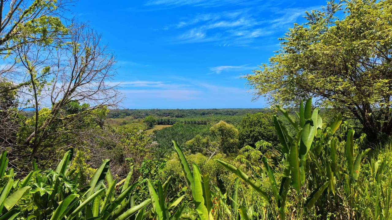 Near the Coast Home Construction Site For Sale in Ciudad Cortés - photo 19