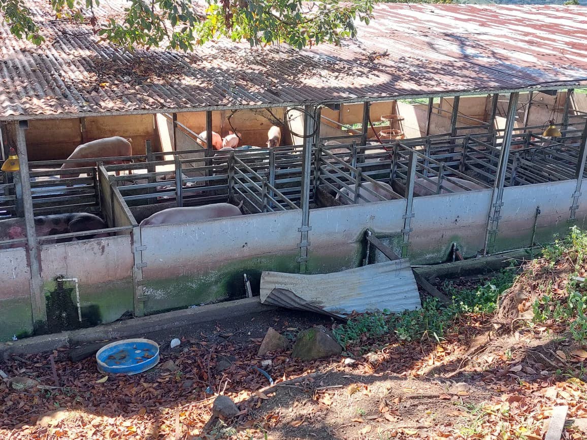 HACIENDA LOMBARDIA : Fully Operating Livestock Business - photo 8