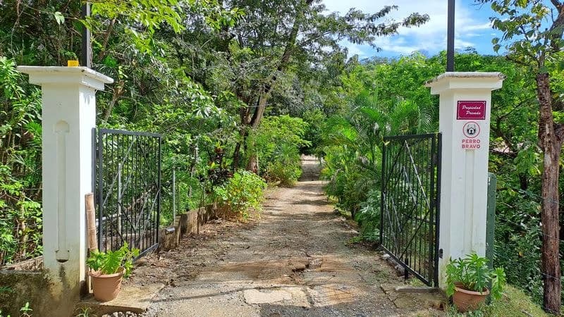 Casas Jungle: Charming Rental Compound with 5 units & pool in the heart of nature, minutes from Samara’s beaches - photo 7
