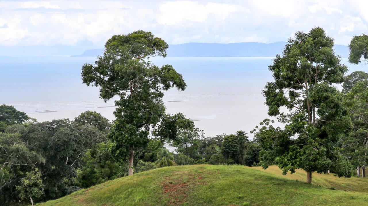 Unique Development Property Overlooking the Pristine Golfito Bay and Golfo Dulce - photo 28
