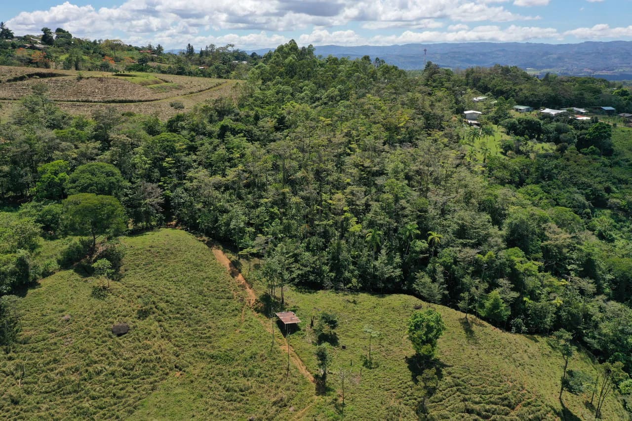12.5 Acre Riverfront Mountain Estate with Valley and Chirripó Views