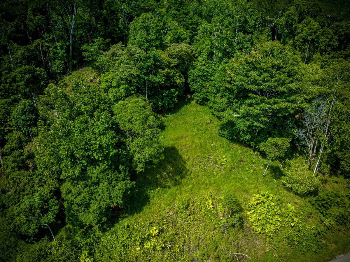 Rincon Mountain Land Gulf View | A Breathtaking Landscapes of Rincon - photo 14