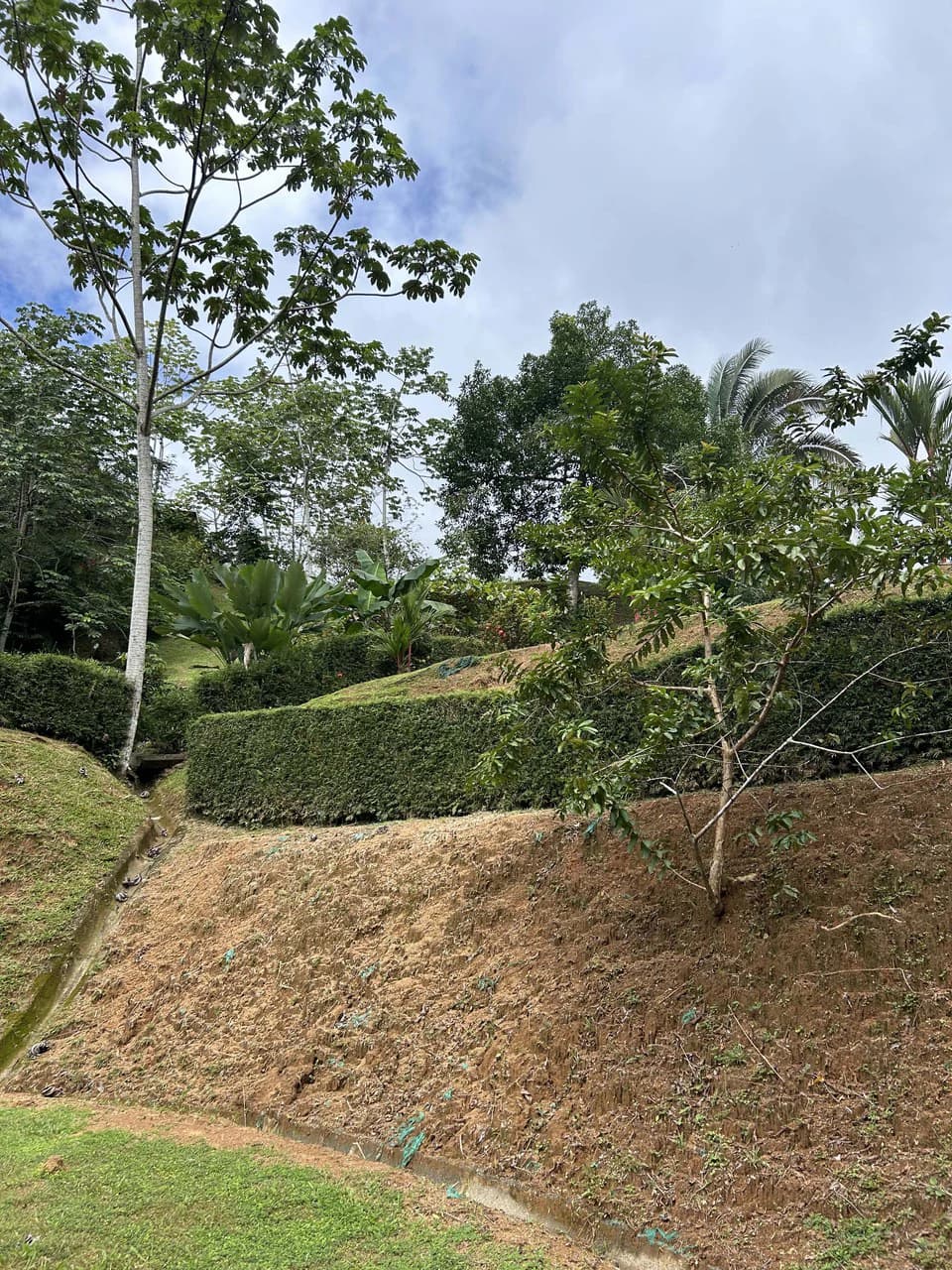Playa Hermosa: Two Locations to Build, Permits Ready - photo 26