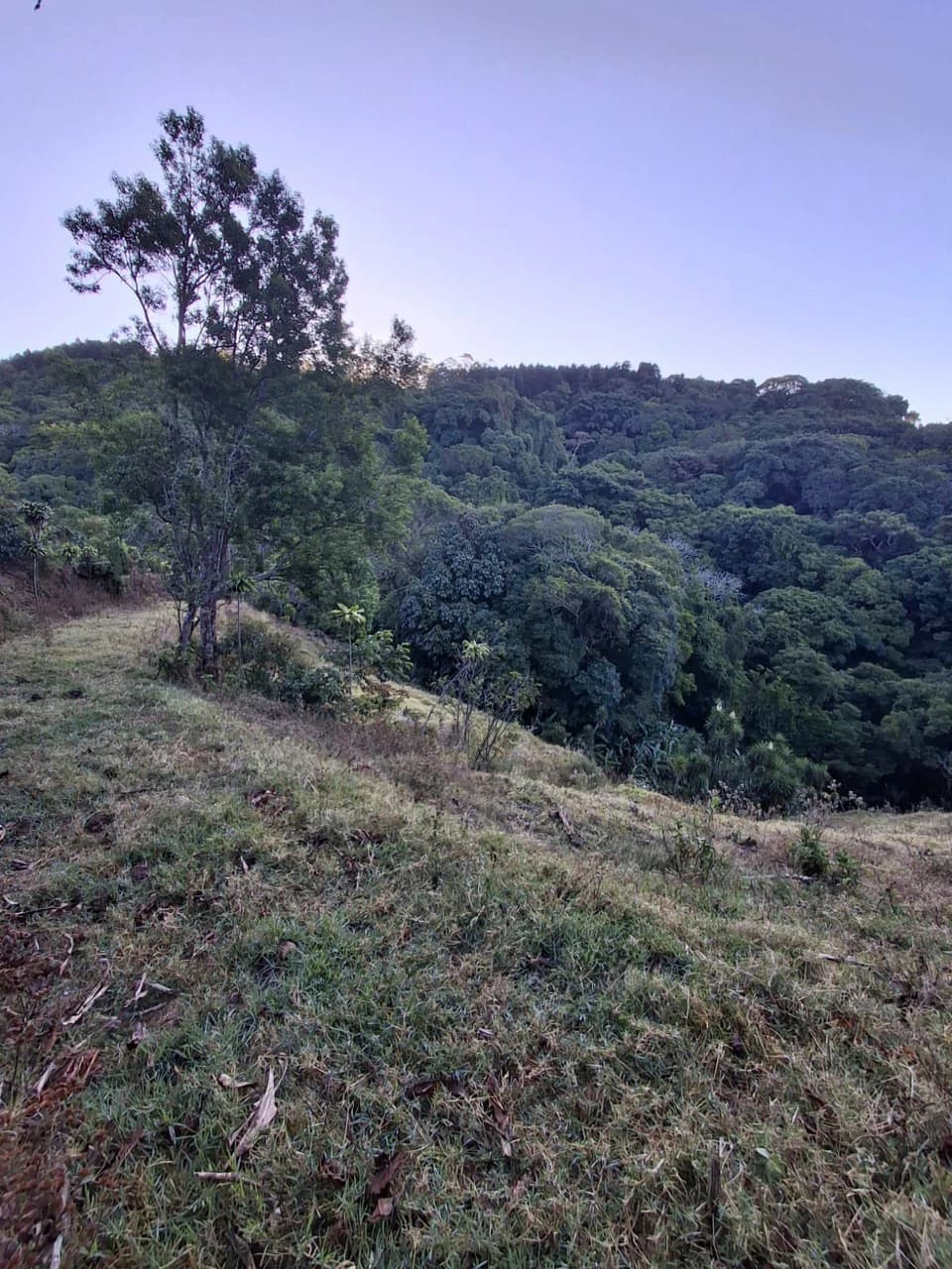 Cafetalero or Developer?: 25,378 m2 with Views of the Central Valley!! - photo 7