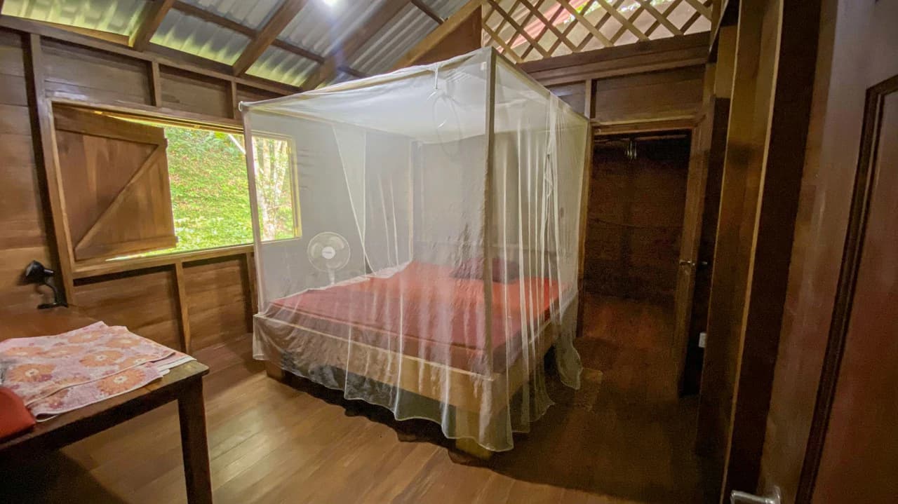 4 Bd/3 Ba - Two Caribbean Homes w/ Pool, on 5000m²: Dual Home Jungle Property in Punta Uva - photo 12