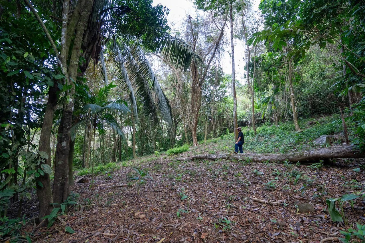 Rare 86-Acre Ocean View Estate Bordering Hacienda Barú – A Unique Opportunity for Conservation and Development - photo 22