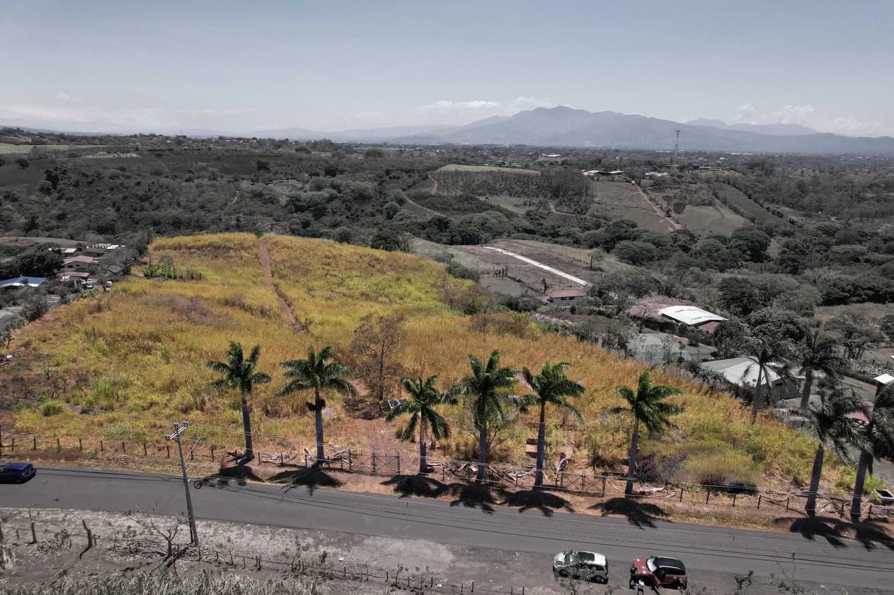 Land for Sale for Investment in Grecia - photo 8