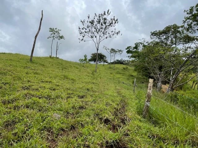 10 acre Dream Mountain Farmland near Monteverde - photo 5