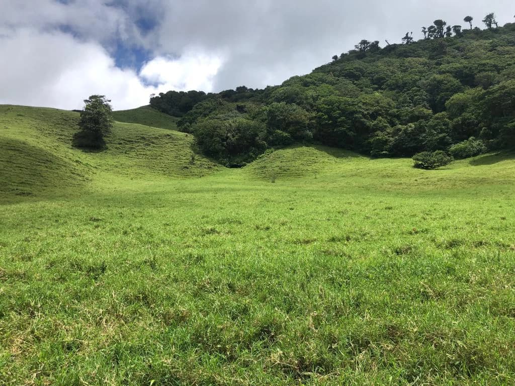 Beautiful property with lake view - Arenal - photo 9
