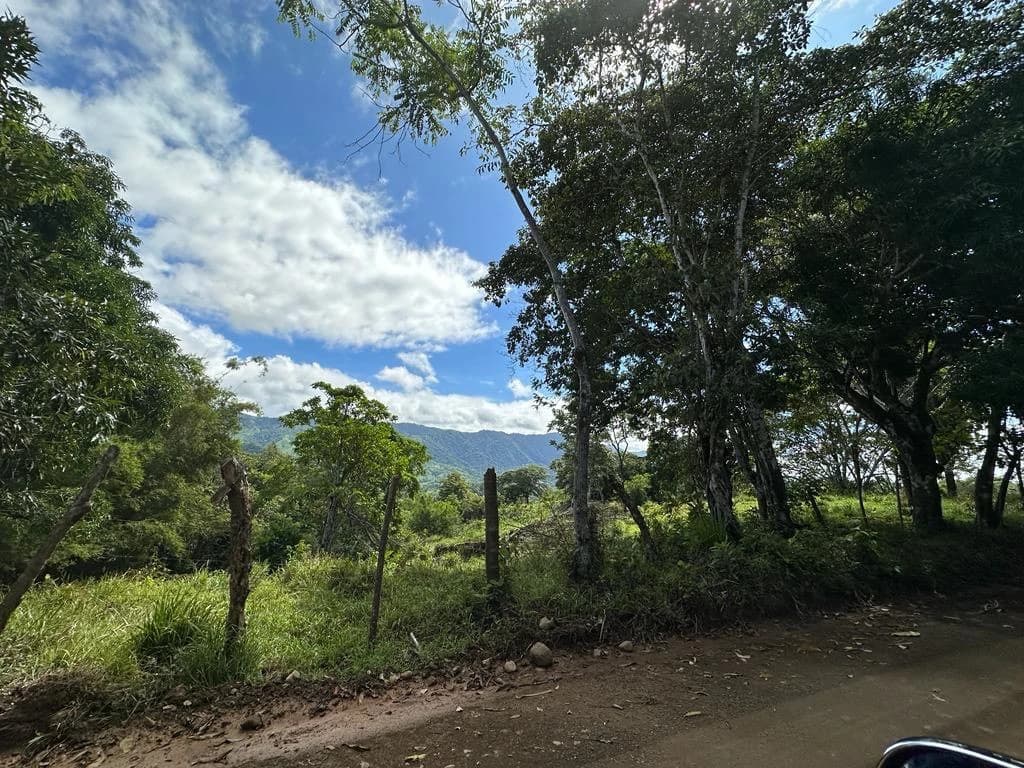 Exceptional Development Opportunity in Puerto Cortes, Osa - photo 4