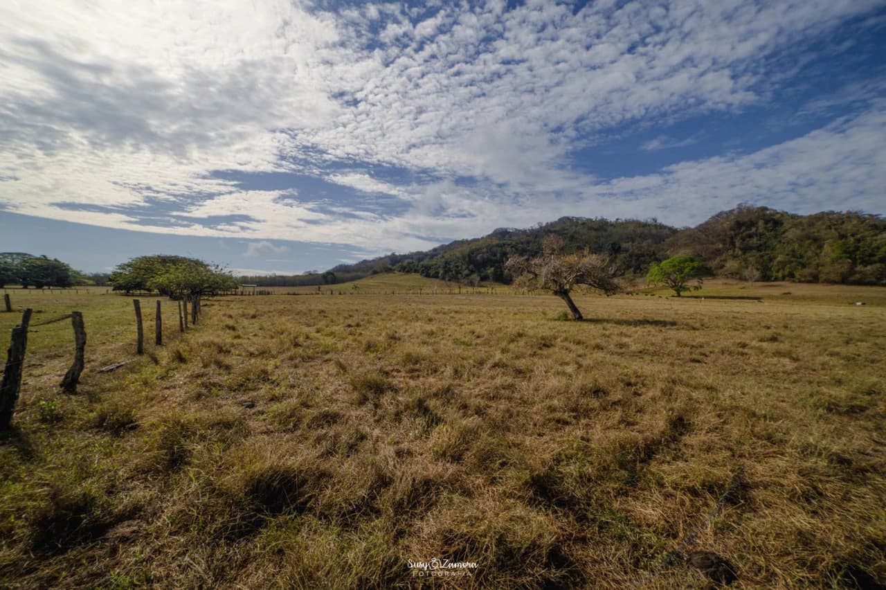 Land for Sale Lepanto Puntarenas overlooking the Gulf Costa Rica - photo 8