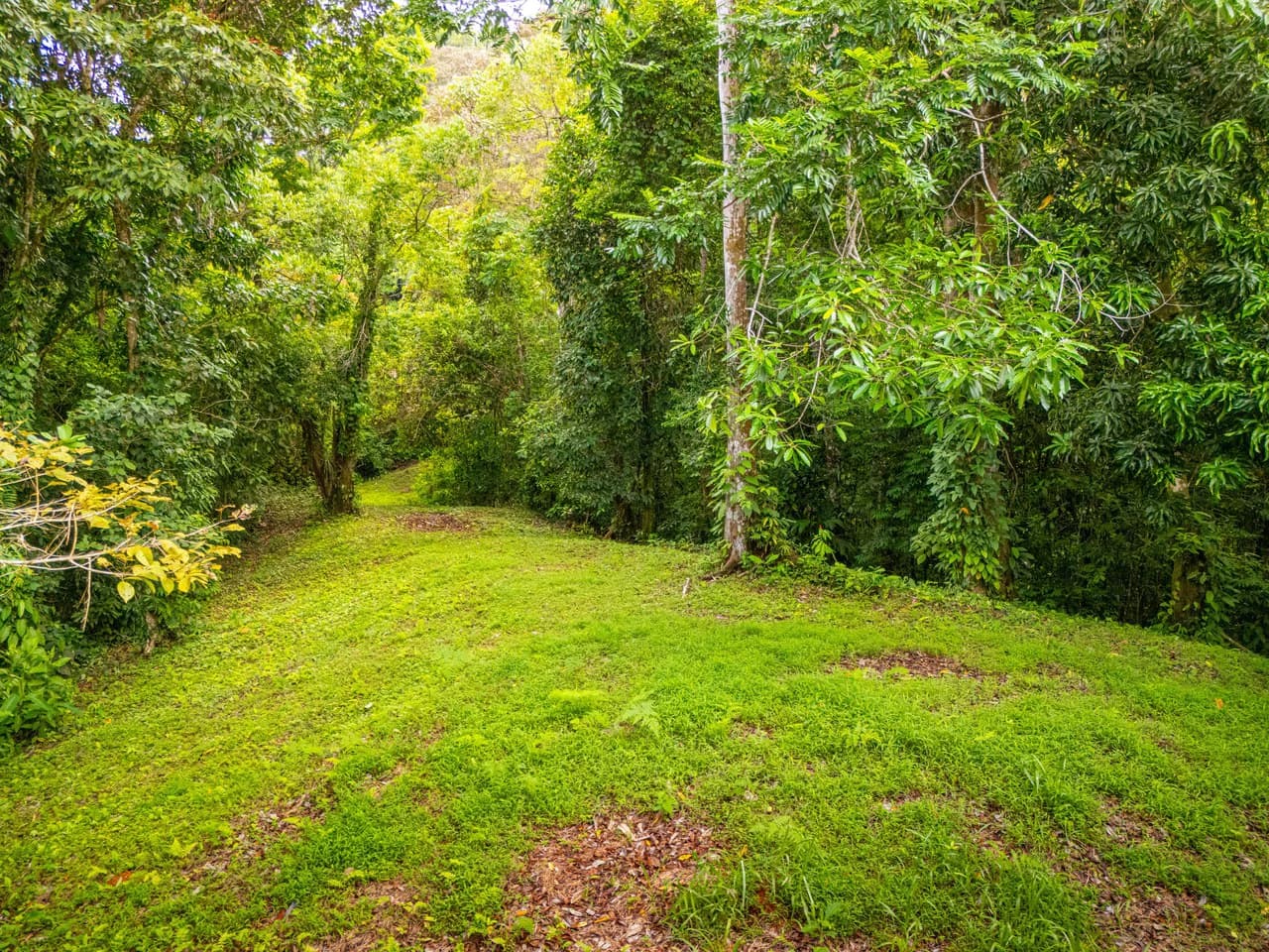 Tropical Paradise in Cascada Sándalo, Tres Ríos Ocean & Mountain Views | Gated Community | Abundant Nature - photo 14