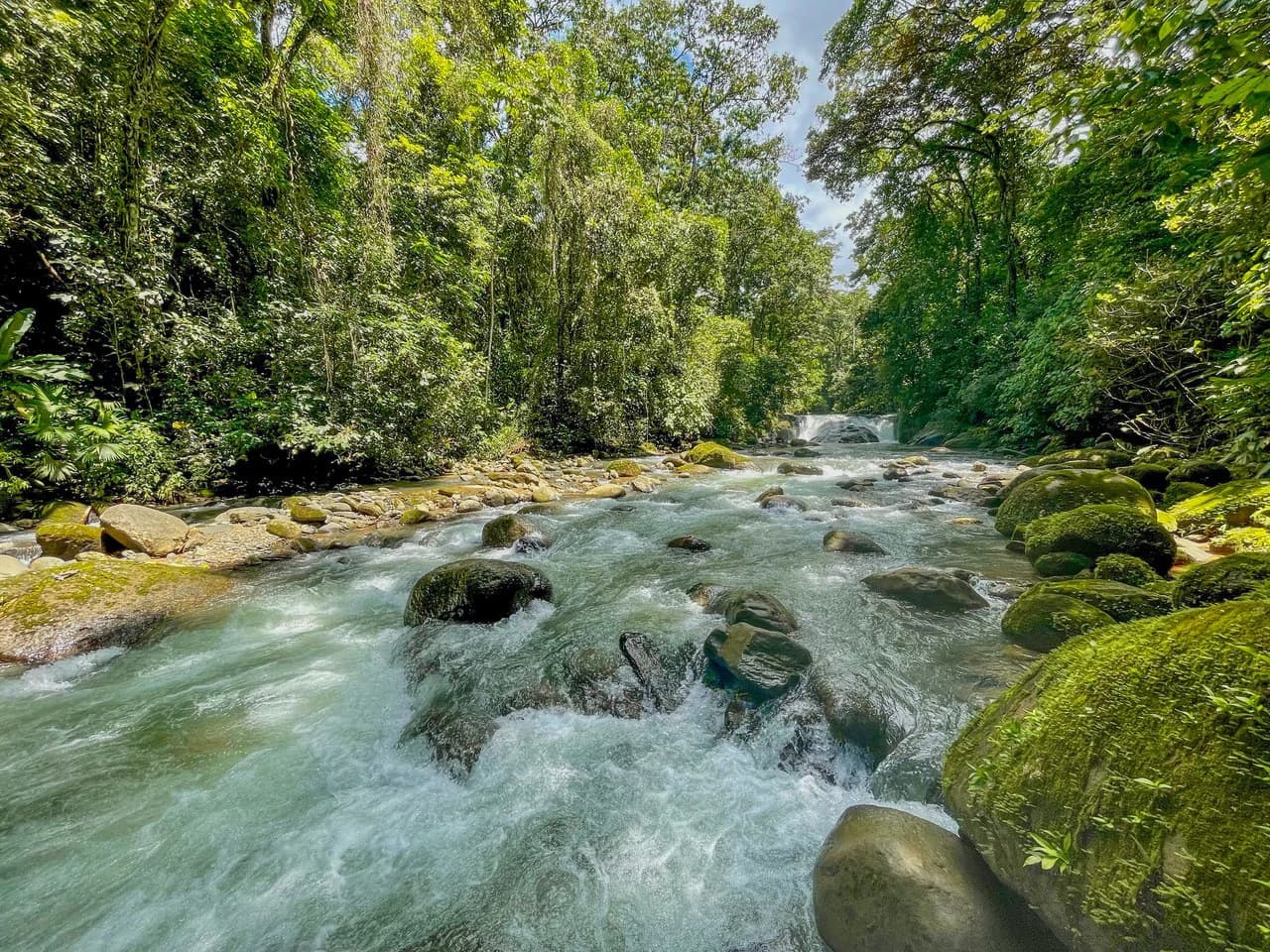 .075 ACRES – 2 Bedroom New Construction Home, Walk to the River, 5min to Playa Matapalo, 15min to Dominical!!!! - photo 6
