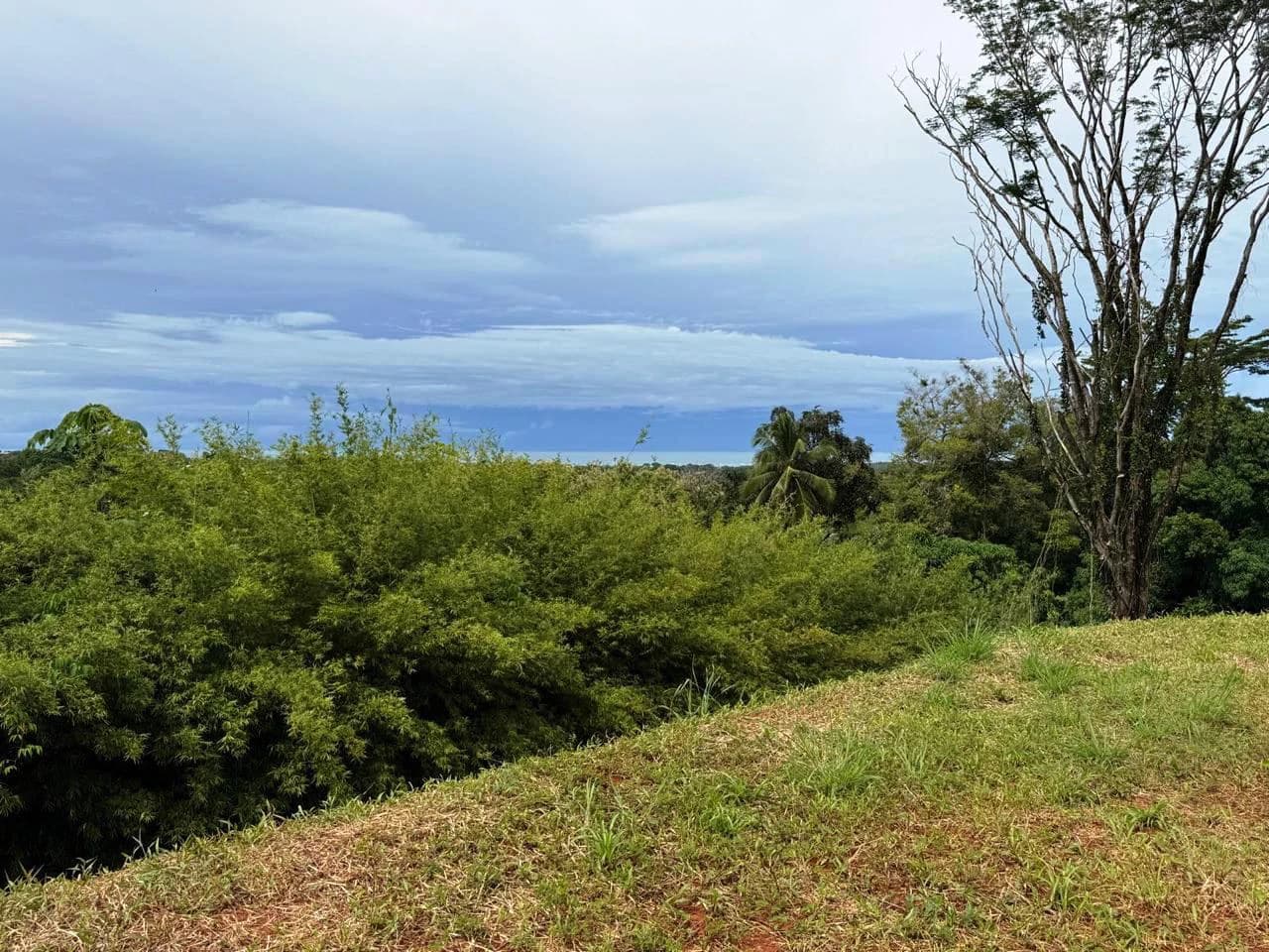 Prime Ocean View Development Property in Downtown Uvita - photo 5