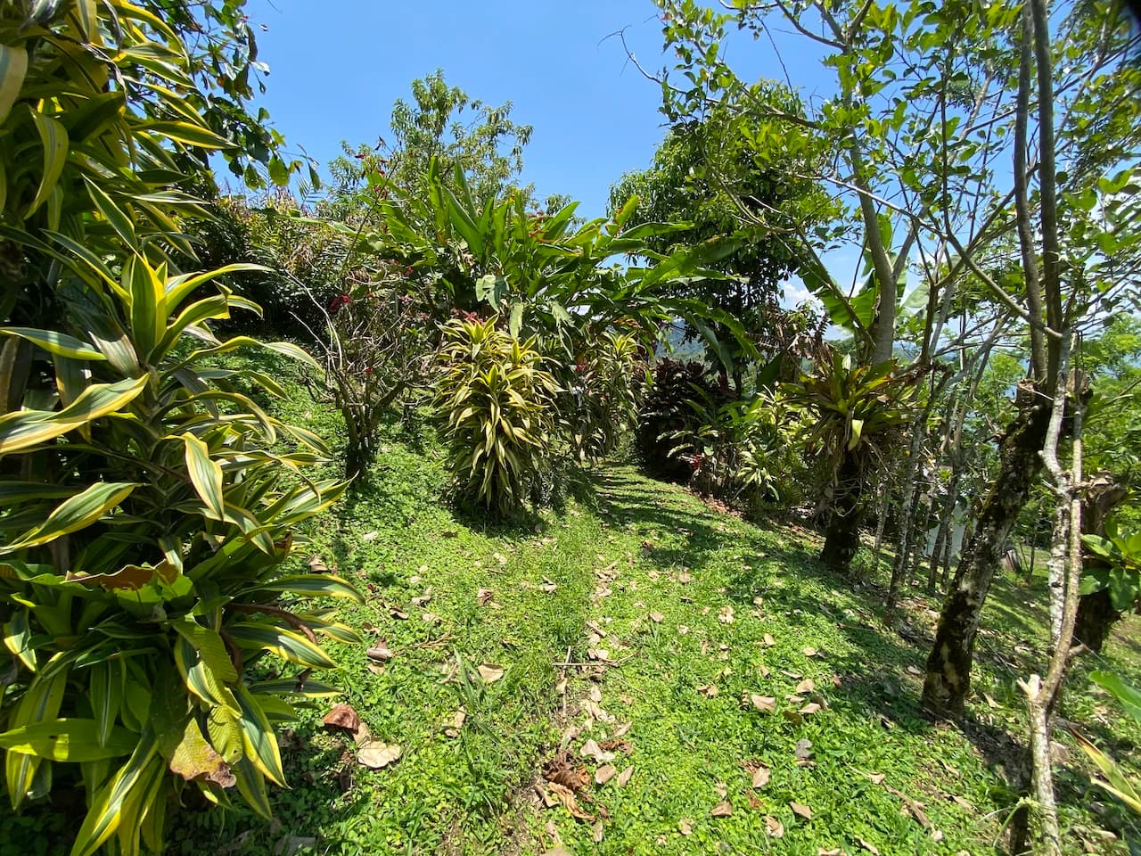 Beautiful Property with 4 cabins in El Castillo with gorgeous Lake View..!! - photo 24