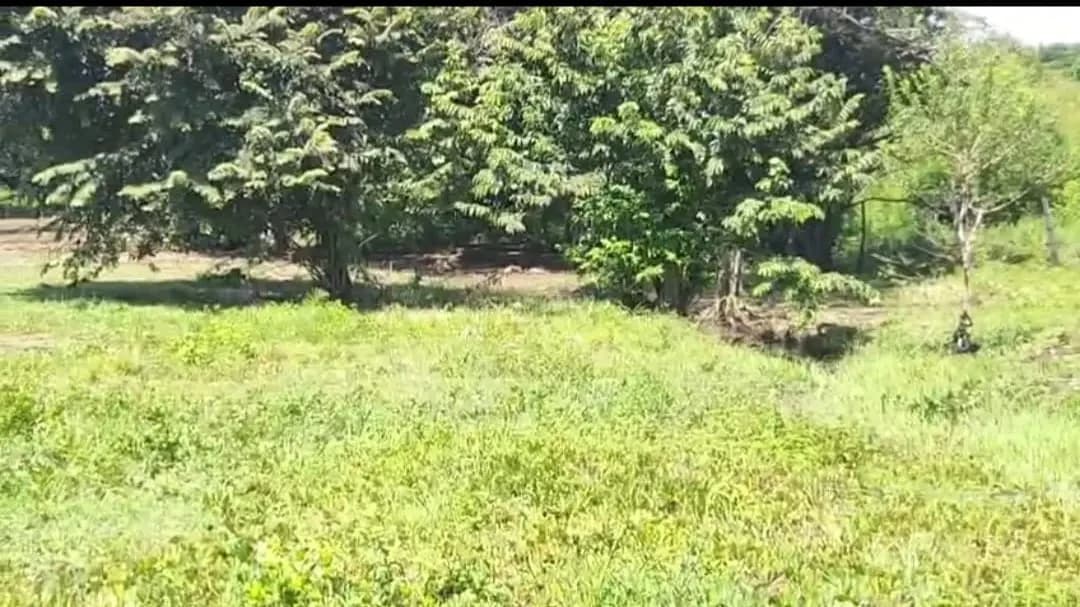 Prime Land in La Fortuna, Bagaces - Build Your Dream Home! - photo 4
