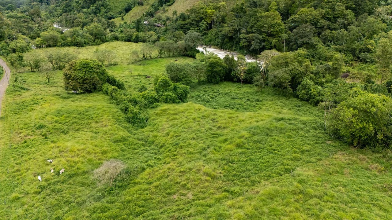 Mountain Home Construction Site For Sale in Río Nuevo - photo 15