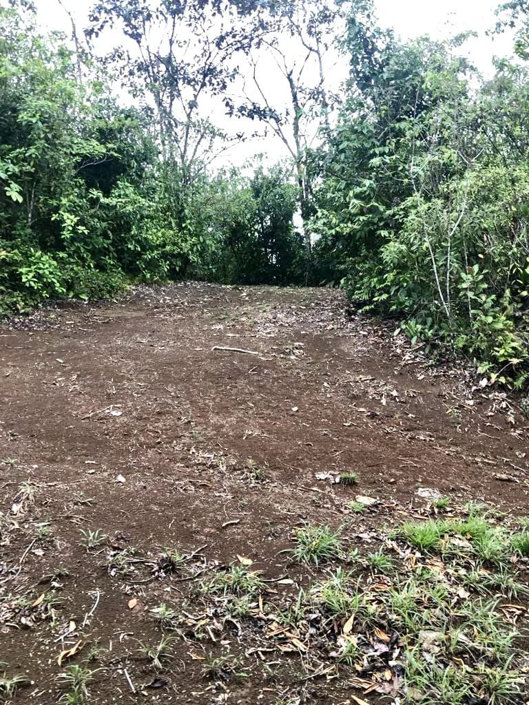 Spectacular 72.44 acres: Costa Rica Nature Estate | Private Waterfall, River, Home & Spectacular Views | Near La Fortuna - photo 15