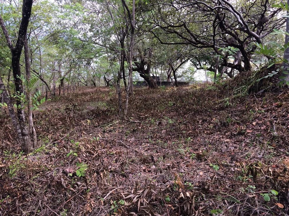 Finca grande: Economic Building property for sale in El Salto, with private access to the surrounding beautiful nature with own river - photo 5
