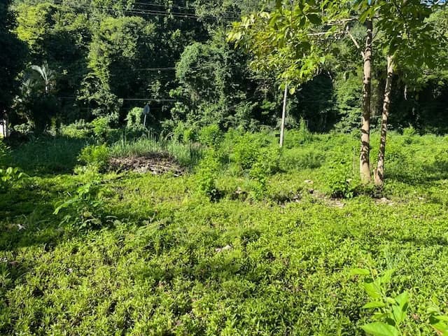$439,950 USD Rare Titled Beachfront Lot in Playa Tambor - photo 3
