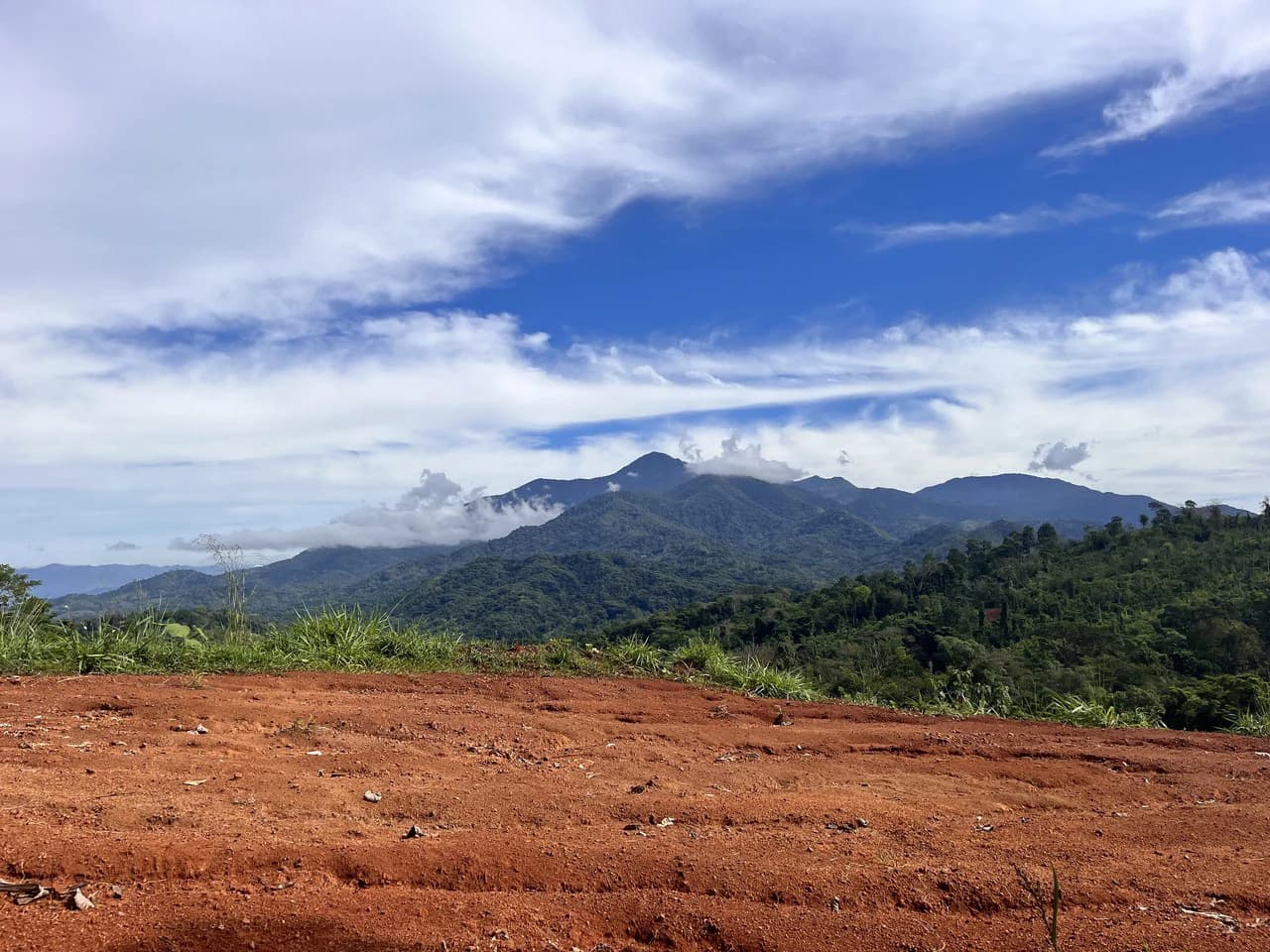 SPECTACULAR ECOLOGICAL MOUNTAIN FARM IN BIJAGUAL DE TURRUBARES - photo 33