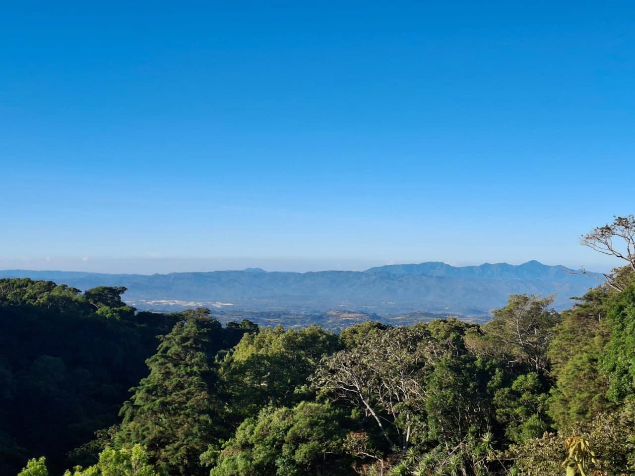 Cafetalero or Developer?: 25,378 m2 with Views of the Central Valley!! - photo 9