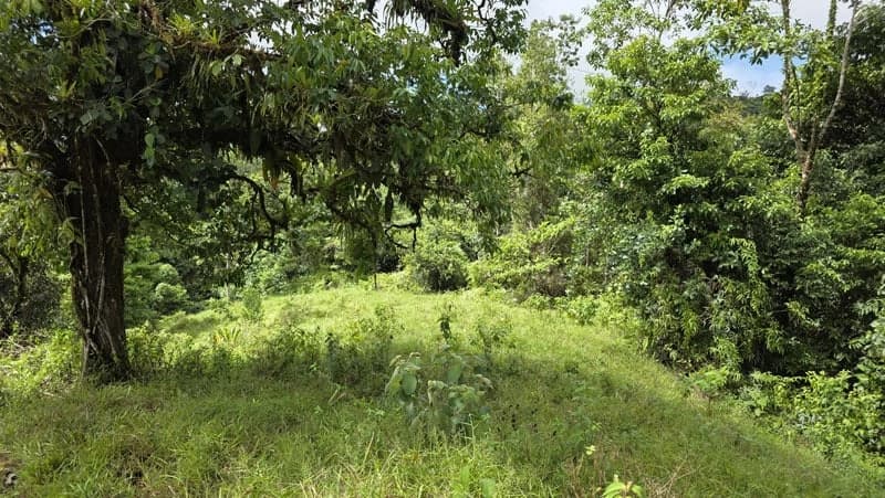 116-Hectare Finca for Sale Near Uvita with Whales Tail Views and 10 Waterfalls | La Faralla, Bahia Ballena, Uvita, Puntarenas, Costa Rica - photo 31