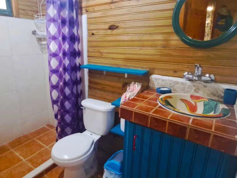 8 Cabinas with Swimming Pool on Lush Jungle Property in Uvita - photo 20