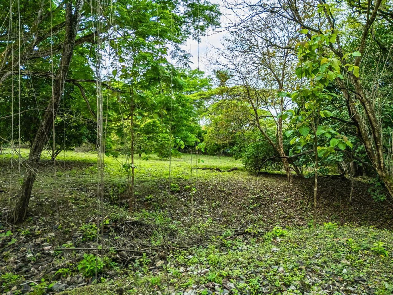 Marbella Dream Lot: 2.4 Acres of Natural Beauty Near the Beach - photo 2