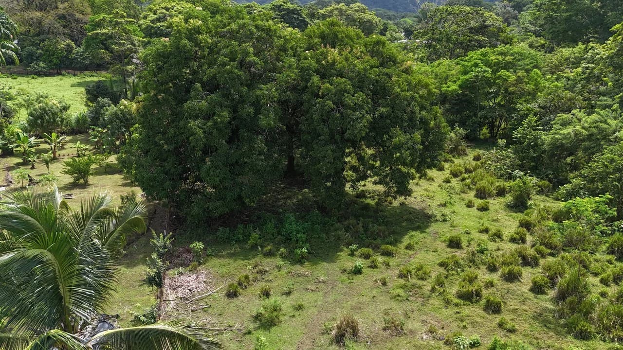 Walk to the beach, Developement Land, Mini Ranch, Central Uvita - photo 12