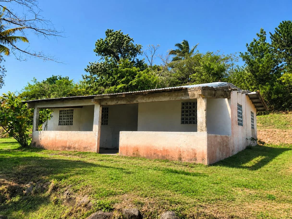 Land for Sale in San Carlos - photo 3