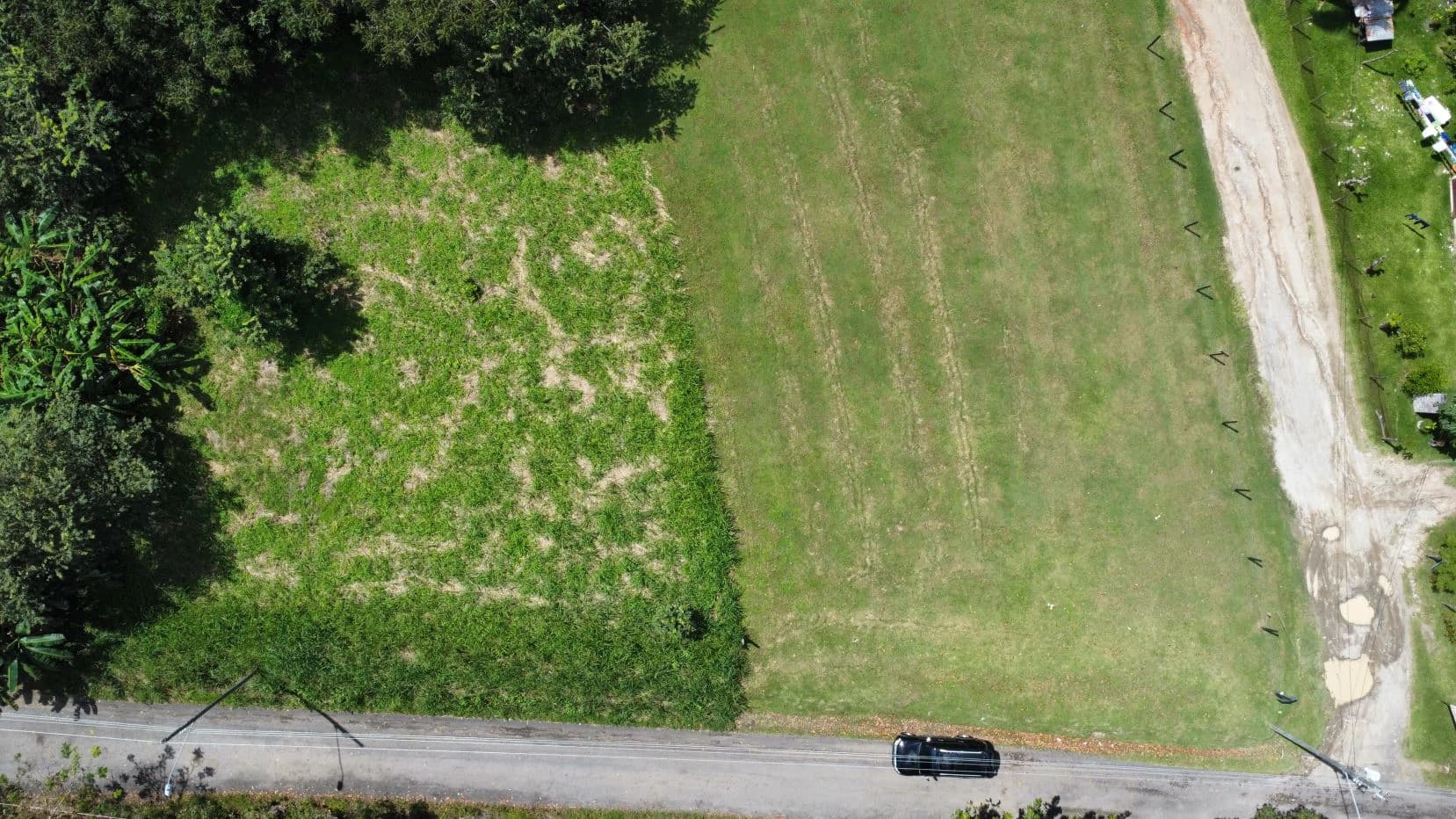 Land for sale in San Carlos - photo 4