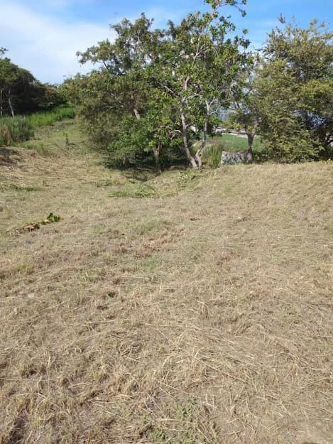 LOT / LAND SAN CARLOS