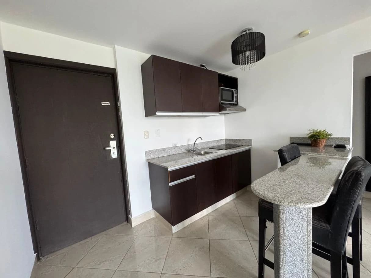 OPPORTUNITY! Tourist Apartment Condo-Hotel for sale in Ibiza Playa Corona - photo 3