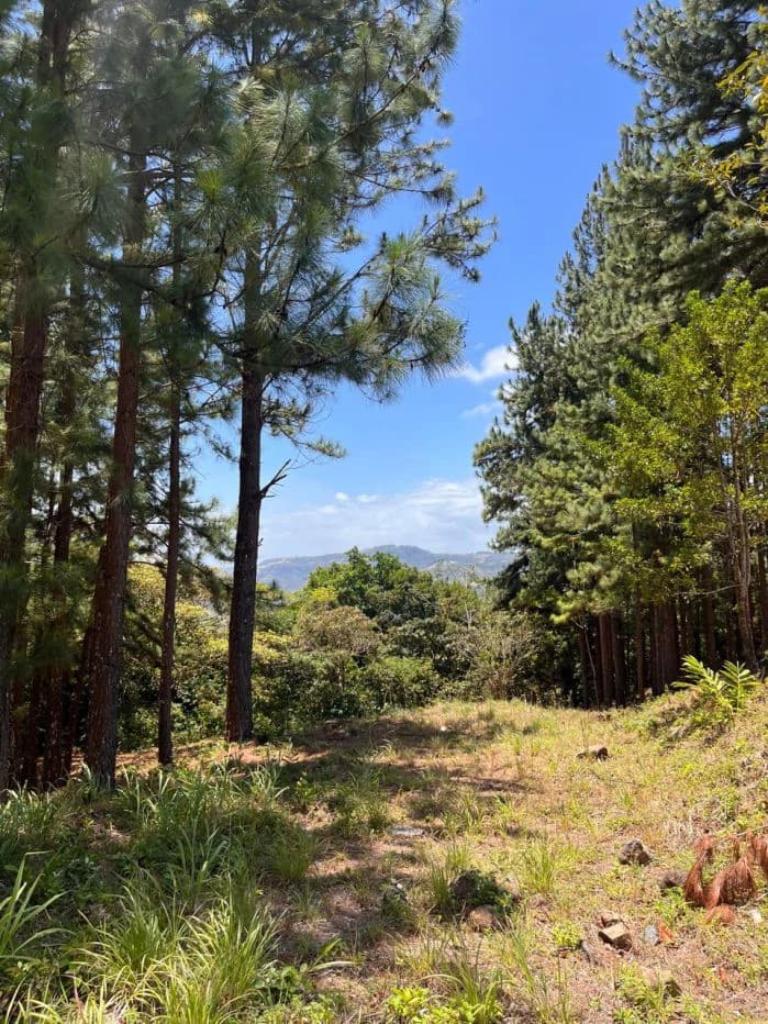 Land for Sale – Valle de la Toscana, Altos del María - photo 4