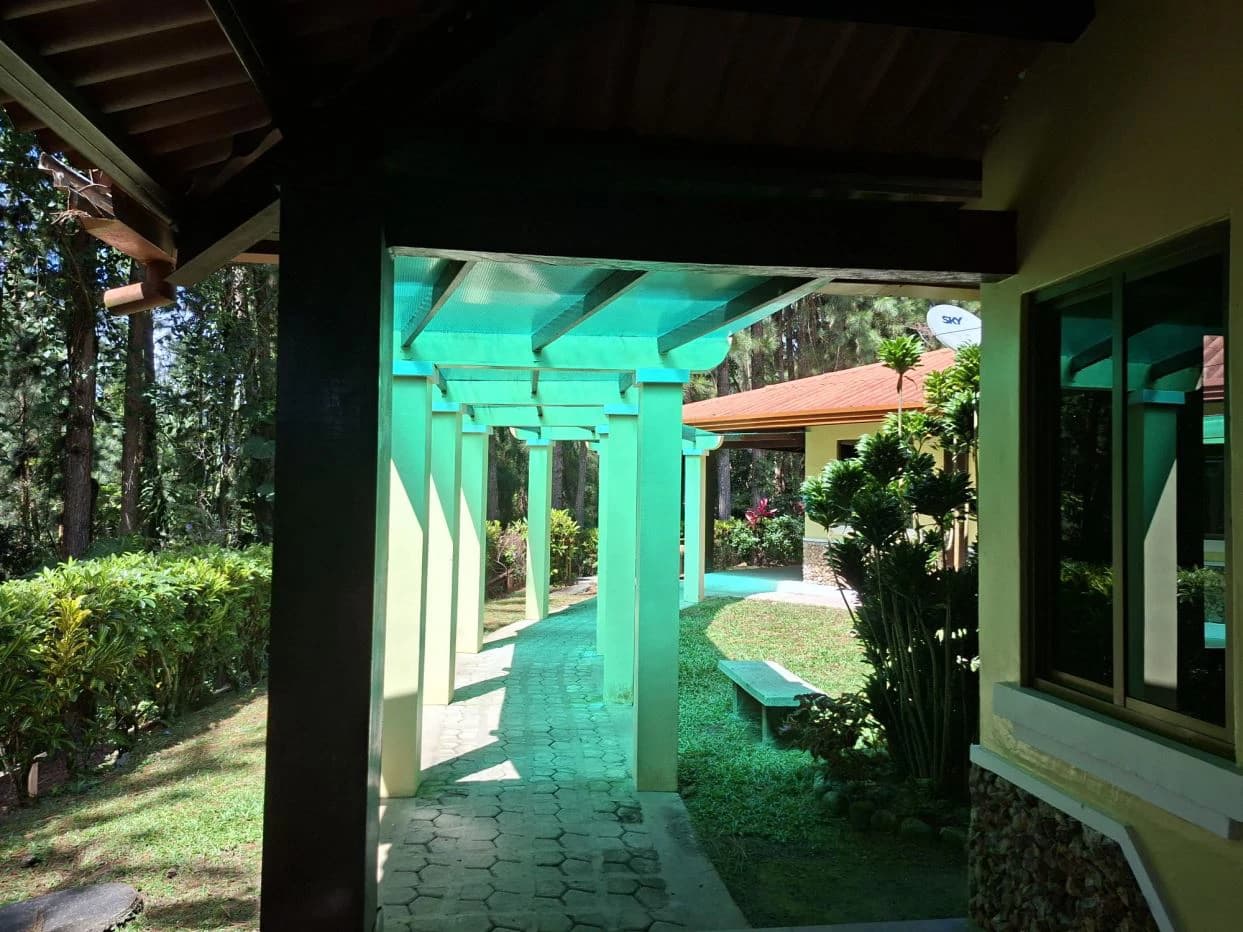 FOR SALE – Mountain Land in Altos de María, Chame District, Panamá - photo 17