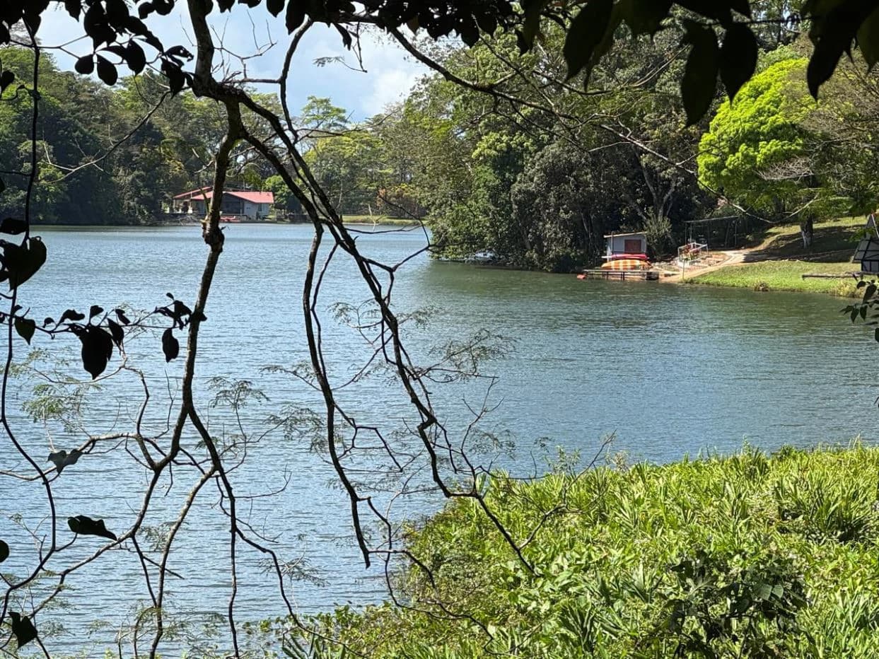 Land for Sale – 23 Hectares Private Paradise in Cerro Azul - photo 1