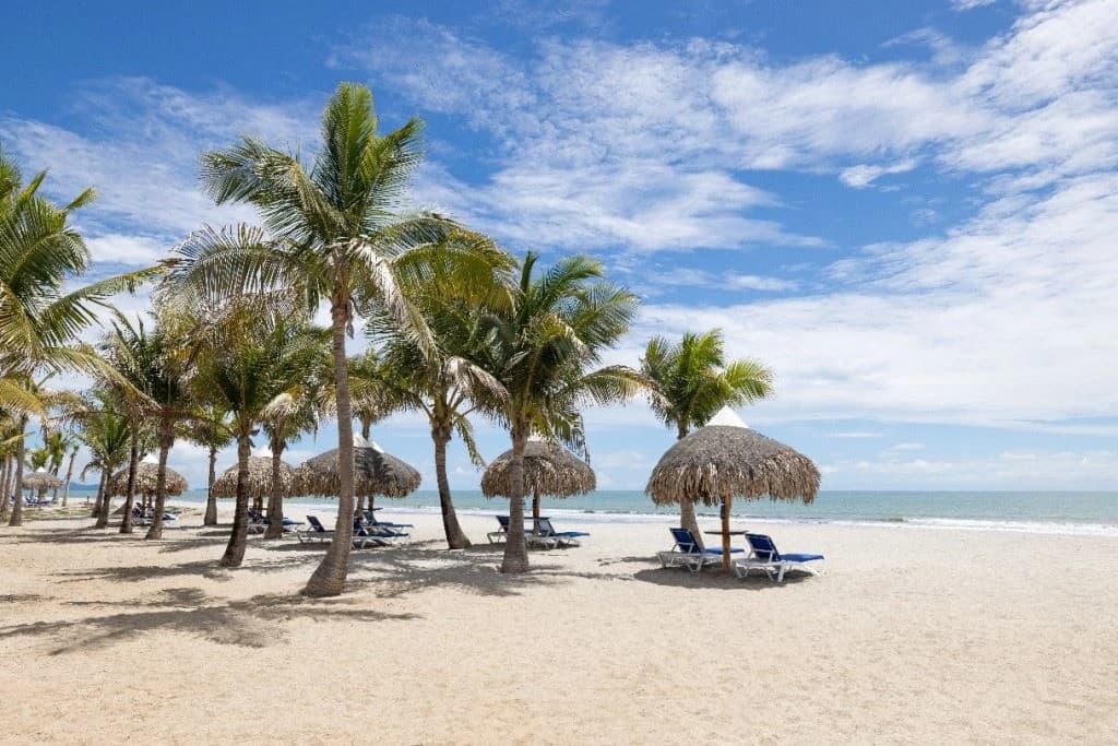 Beach Front Condos - photo 4
