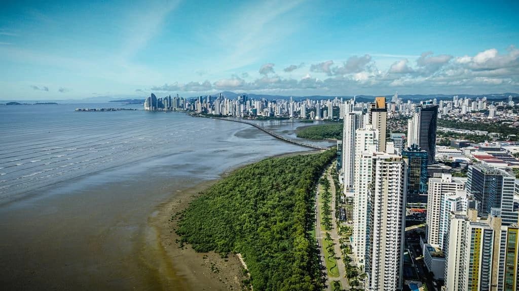 Oceanfront in Costa del Este - photo 11