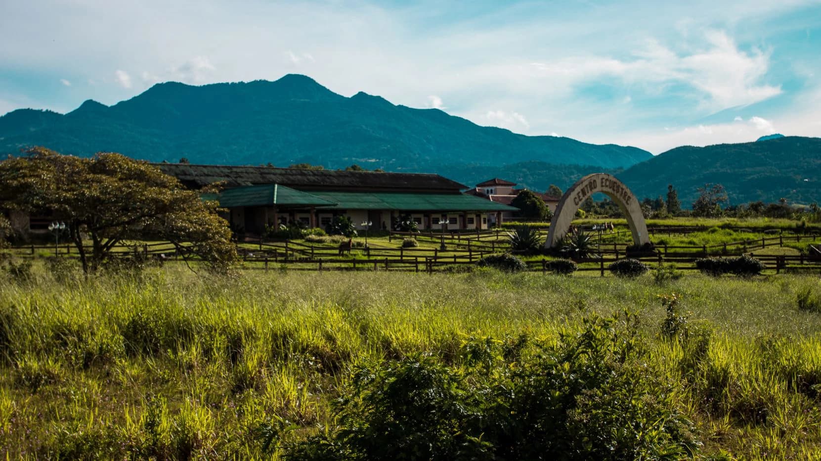 Invest in Boquete, land of flowers and coffee. - photo 7