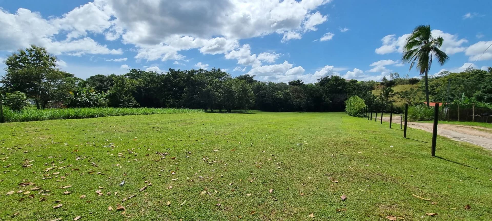 Land for sale in San Carlos - photo 1