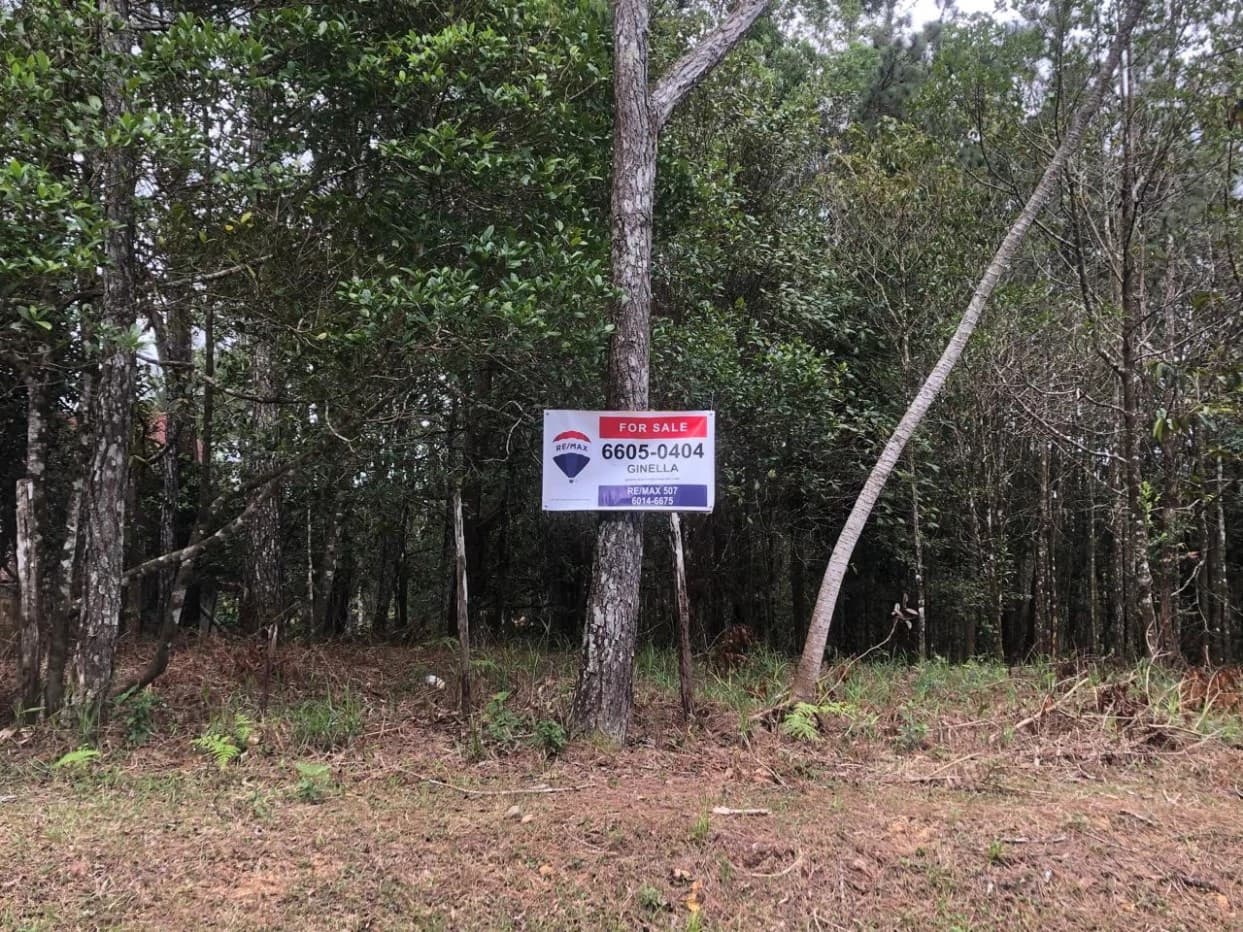 "Great Opportunity! Land in Altos de Cerro Azul" - photo 1