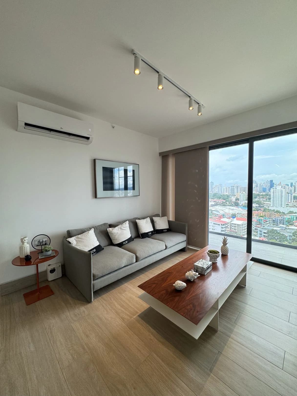 APARTMENT FOR SALE IN PH BALCONY – HATO PINTADO - photo 5