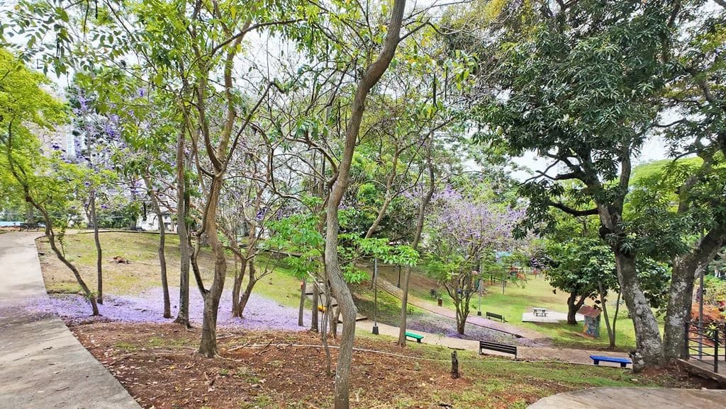Brand New in Hato Pintado - photo 23