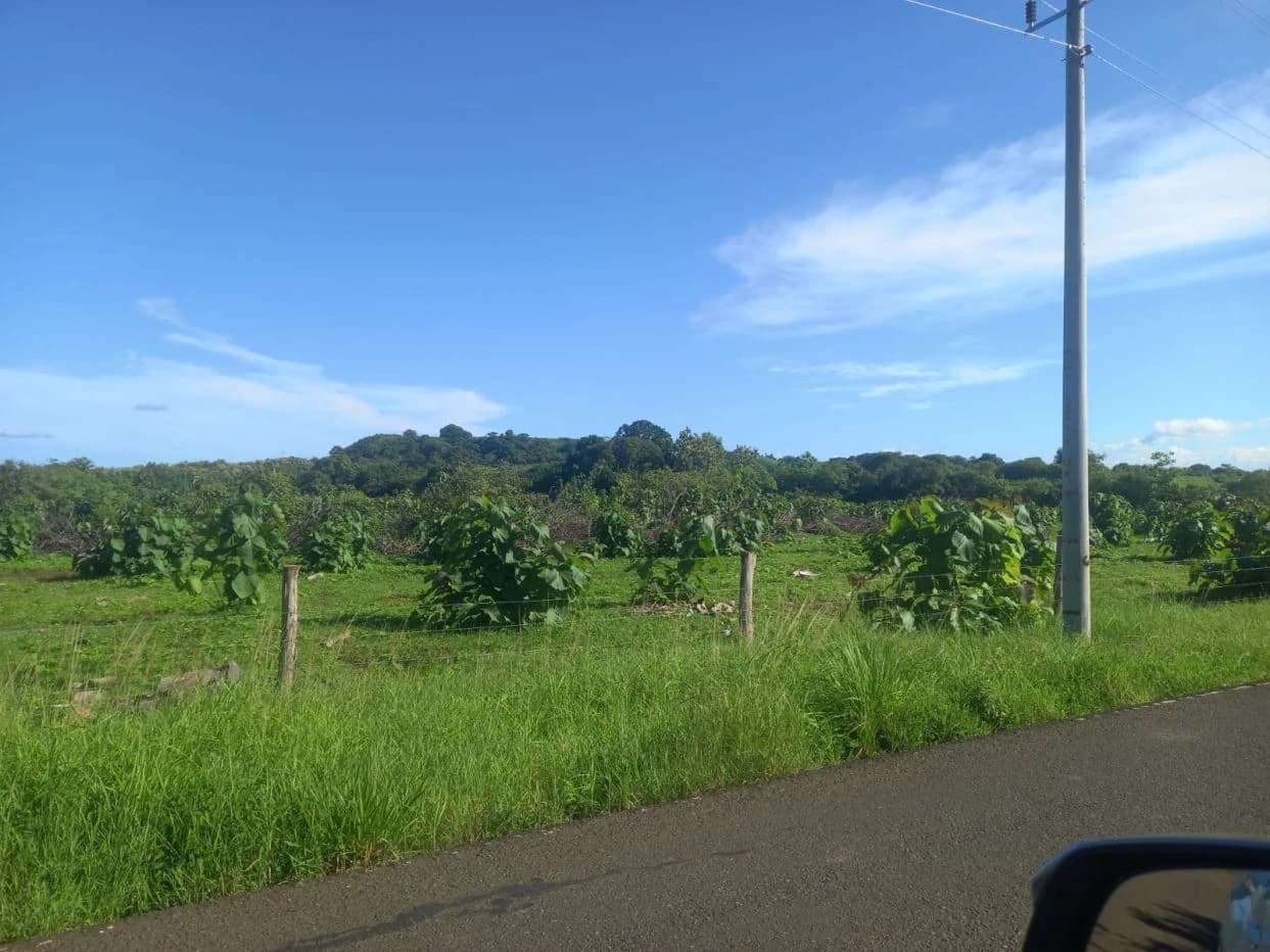 LAND FOR SALE IN LAS TABLAS – POCRÍ / PARITILLA, 15.5 HECTARES - photo 1