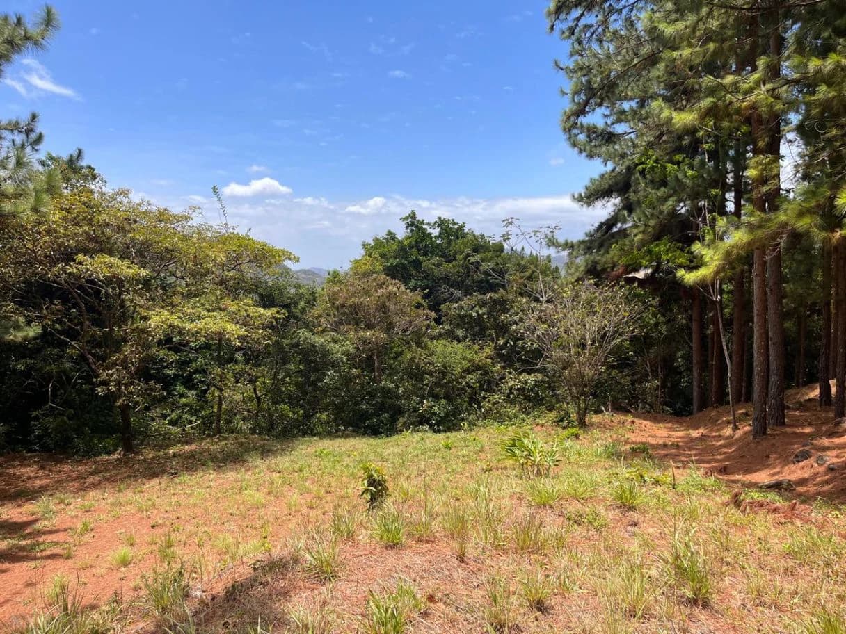 Land for Sale – Valle de la Toscana, Altos del María - photo 3