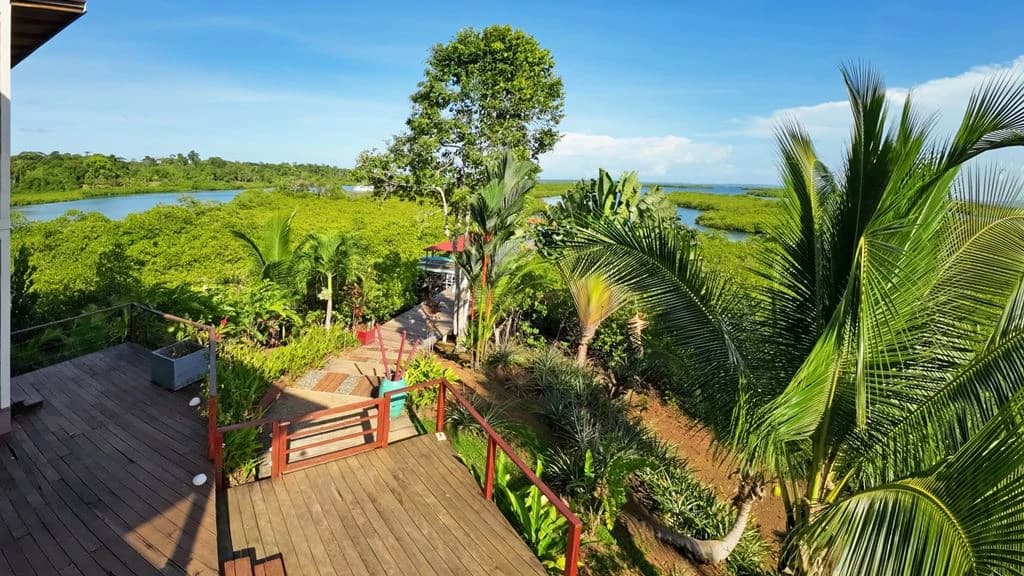 Hotel in Bocas - French Touch, Sabores Locales - photo 5