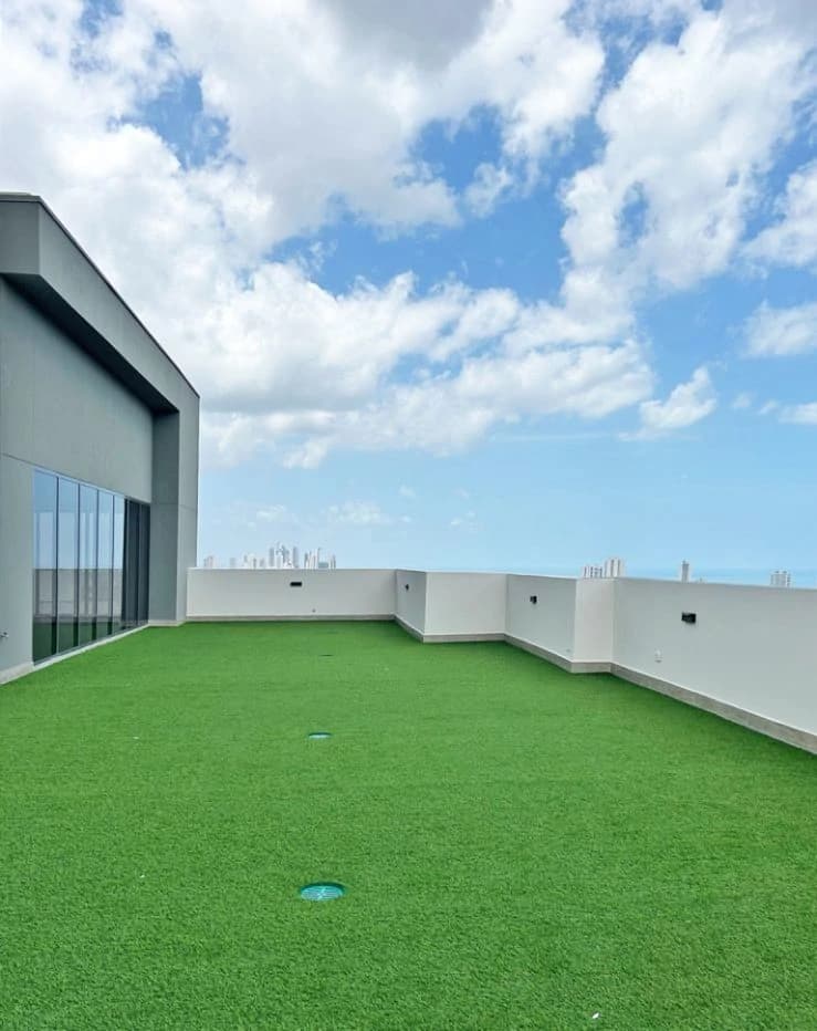 Apartments for Sale - PH BALCONY Hato Pintado Panama City - photo 17